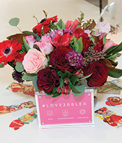 Love 200 Lex_Flowers Thumbnail