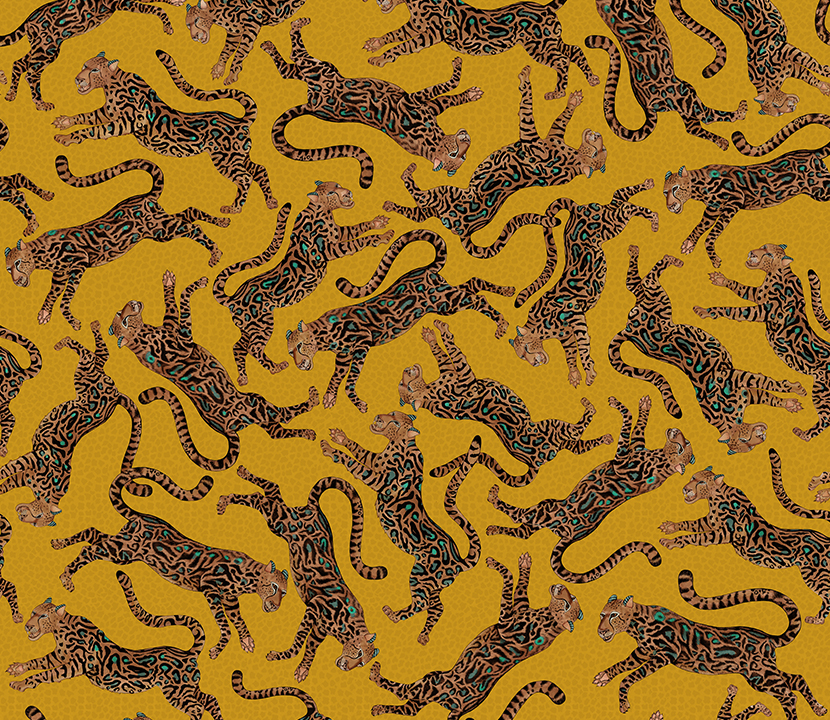 Ngala_Cheetah-Kings_Gallery-Gold-1