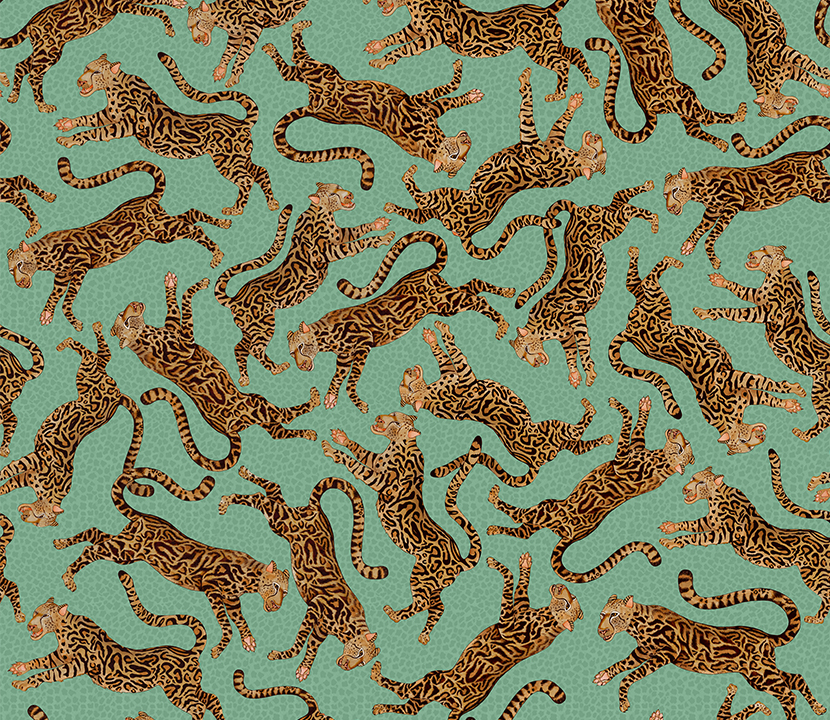 Ngala_Cheetah-Kings_Gallery-Jade-1