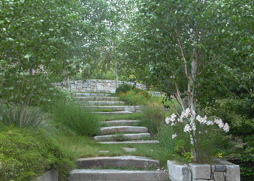 View from the Veranda_Topher Delaney_Garden 1