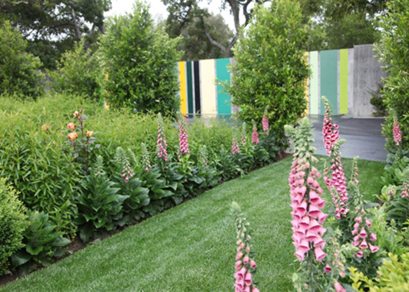 View from the Veranda_Topher Delaney_Garden 5