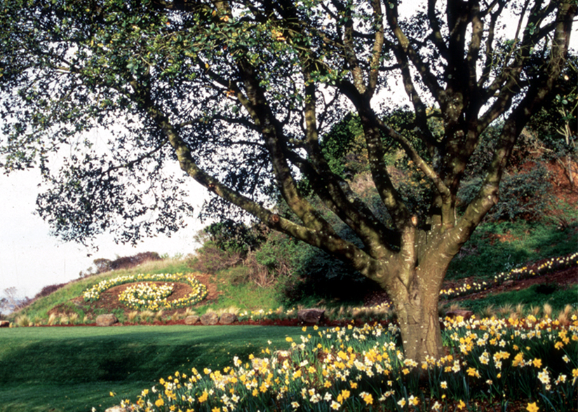 View from the Veranda_Topher Delaney_Garden 6