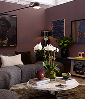 antonio-deloatch-designs_54479741898_o_thumb