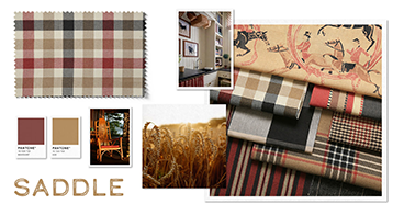 Color Banners-NBSaddle