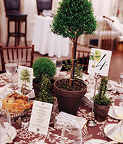 11_elizabethobakerphotography_DCLuncheon_MarthaStewart_NYC2026thumb