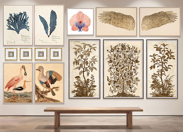NYDC Classics Wallthumv